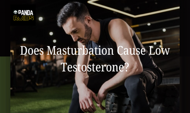 Does Frequent Masturbation Impact Your Testosterone? The F acts Explained Does Frequent Masturbation Impact Your Testosterone? The F acts Explained