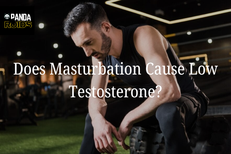 Articles Image Does Frequent Masturbation Impact Your Testosterone? The F acts Explained Articles Image Does Frequent Masturbation Impact Your Testosterone? The F acts Explained