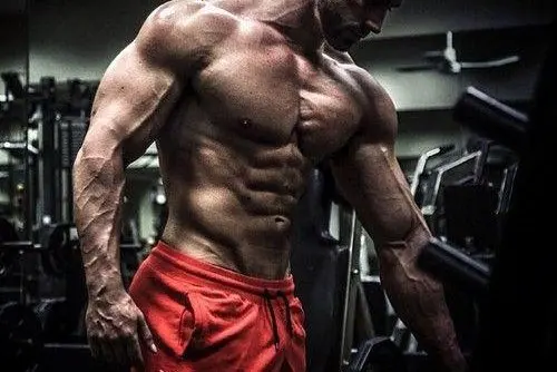 4 Rules of Training 4 Rules of Training